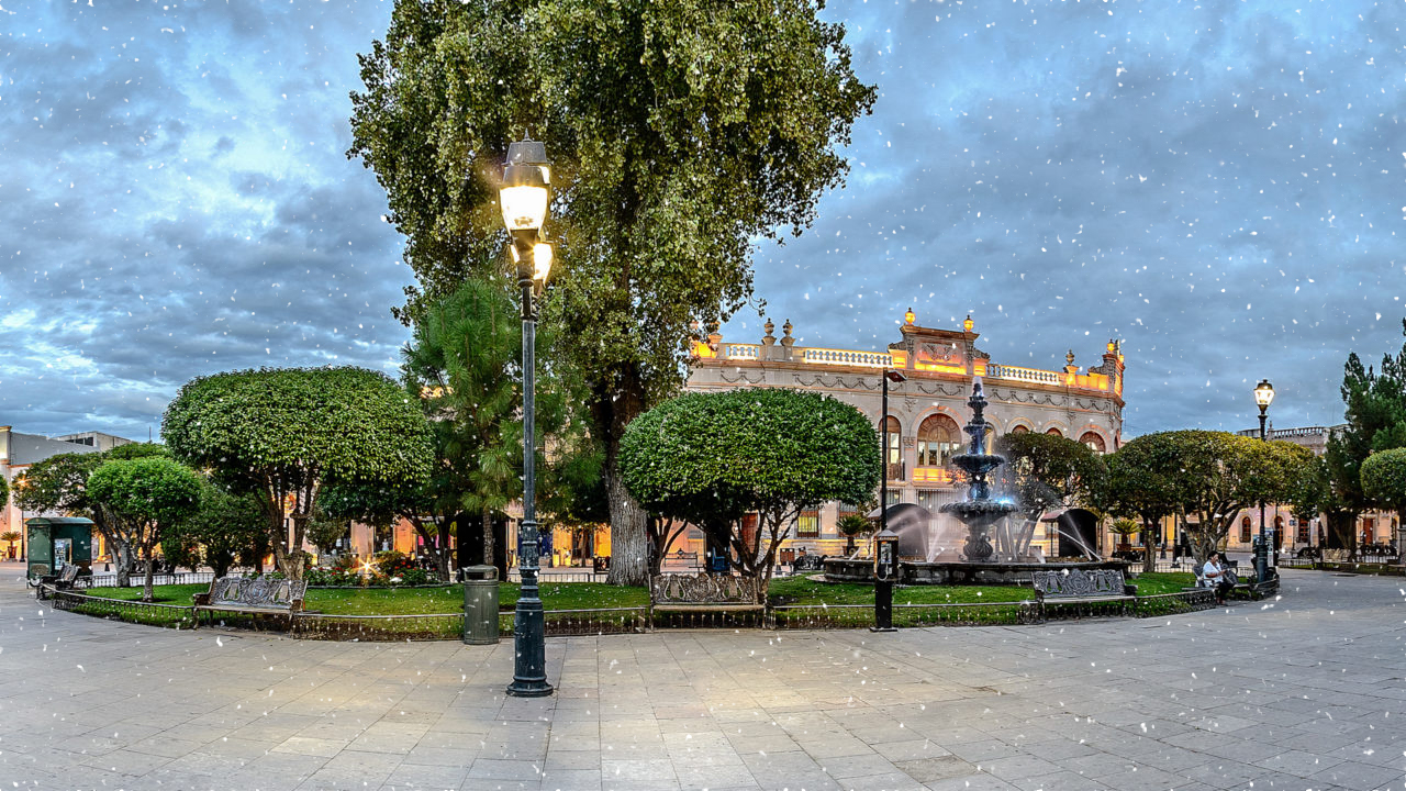 Imagen 1